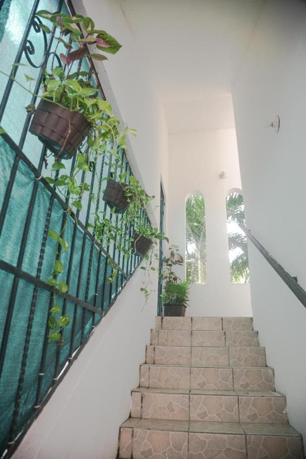 Navieros Rooms Bacalar Zewnętrze zdjęcie